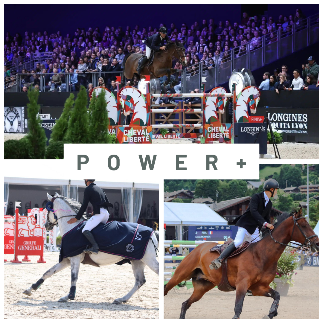Fibre Power+ : L'alimentation idéale pour chevaux de sport