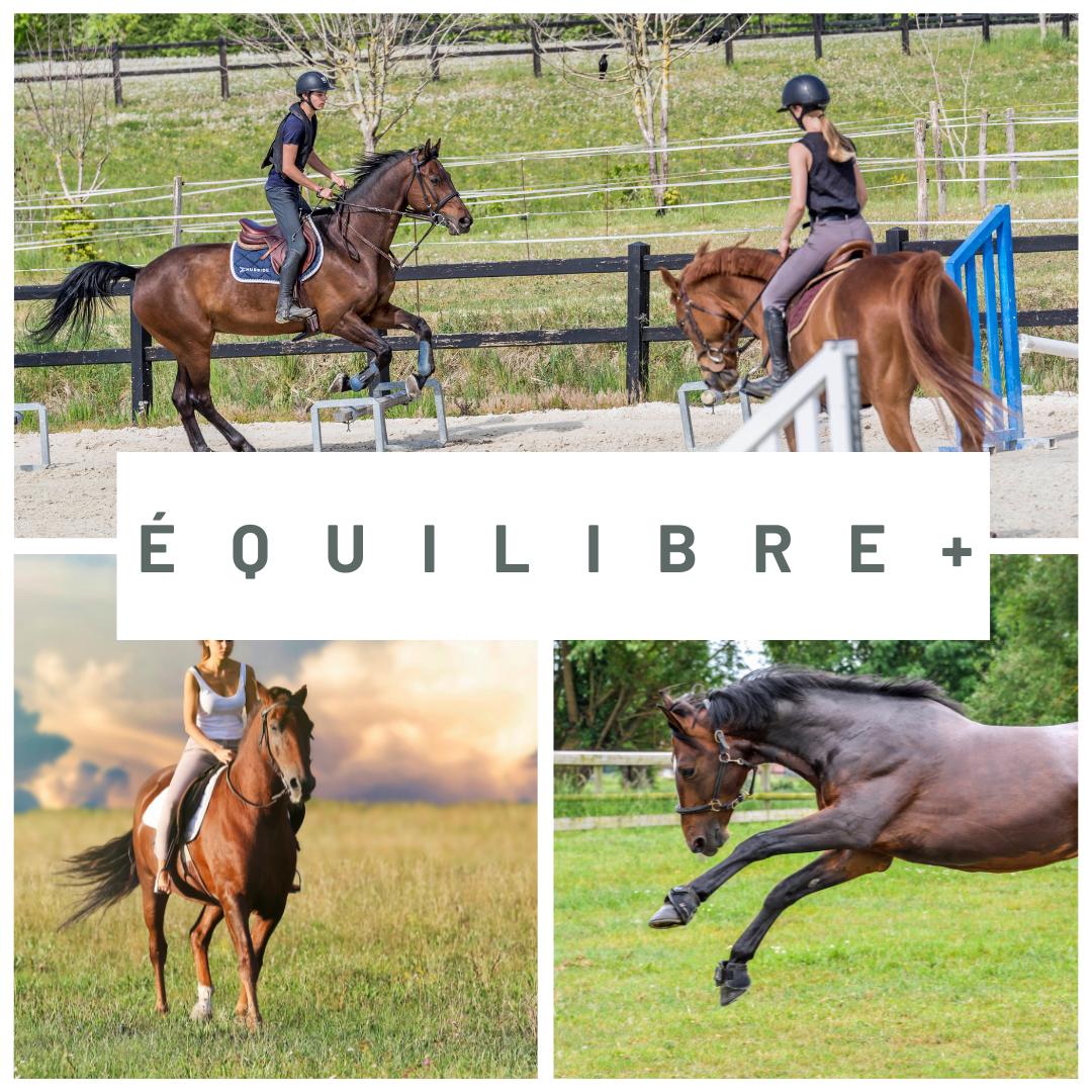 Fibre Équilibre+ : L’alimentation idéale pour le bien être au quotidien